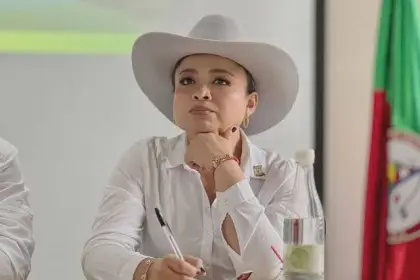 Consejo de Estado admite demanda sobre el nombramiento de Lina Garrido en esa entidad,